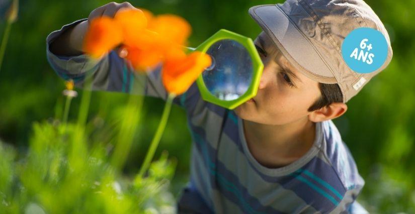 Sortie nature en famille "Sur le fil..." à la Maison de la Terre, près de Saint Brieuc