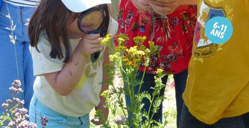 Atelier nature pour enfant autour des pollinisateurs du jardin, Maison de la Terre, St Brieuc