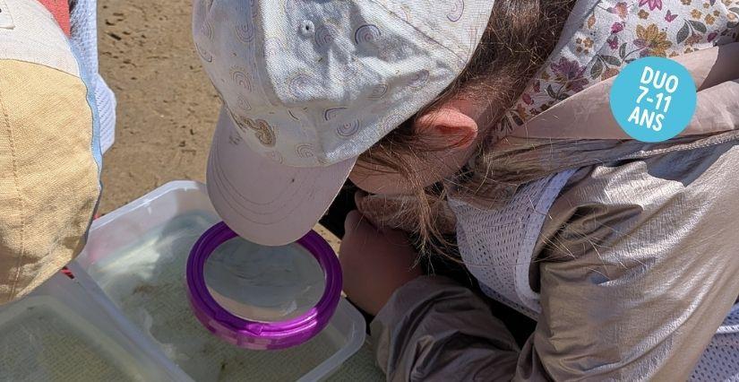 Atelier nature en duo parent-enfant “Découverte du littoral” à Erquy en famille