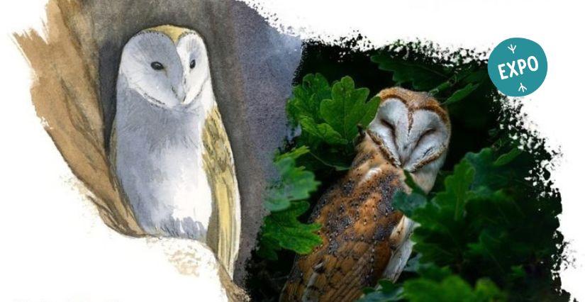 Exposition en extérieur "Empreintes", sortie nature en famille à la Maison de la Terre près de St-Brieuc