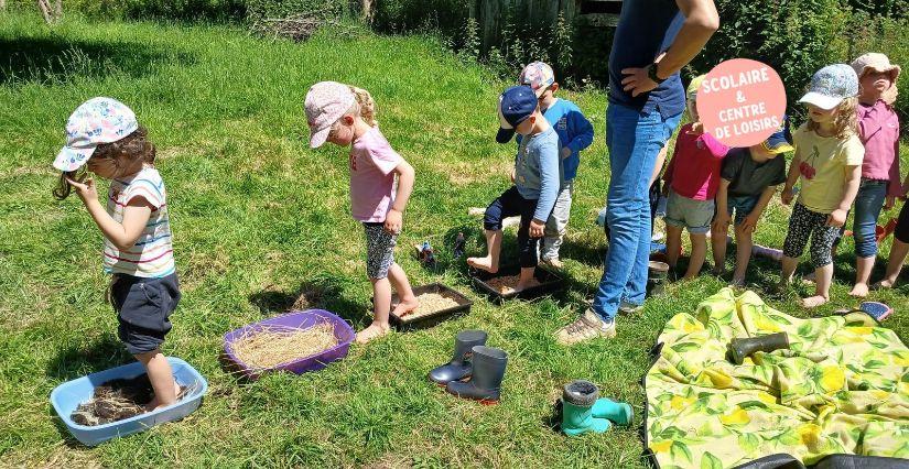 Sortie scolaire à la ferme pédagogique Les Ânes du Canal au nord de Rennes (35)