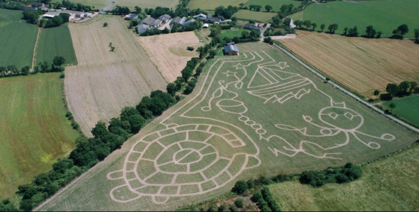 Le labyrinthe de Malido dans un champs de maïs près de Lamballe