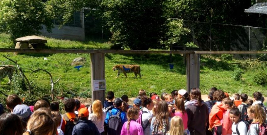 Le Zooparc de Trégomeur : le royaume des enfants près de Saint-Brieuc