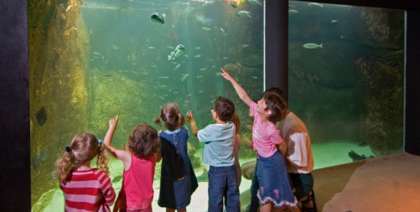 Matinées contées à l'Aquarium marin de Trégastel