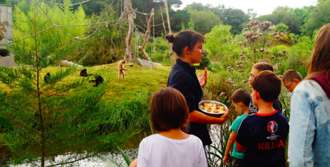 Le Zoo de Trégomeur : mon anniversaire dans un grand parc animalier près de Saint-Brieuc