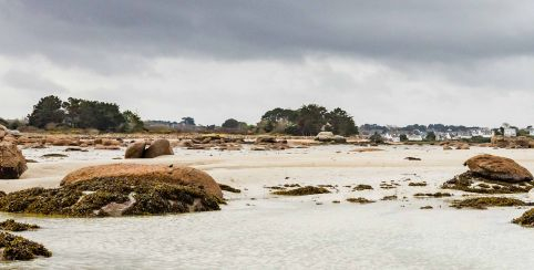 Sortie découverte "La plage à marée basse", Aquarium de Trégastel