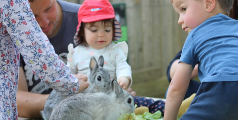 Atelier Bébés fermiers pour les 0-3 ans à La Combe aux ânes à Lanvellec