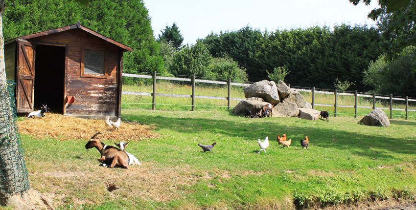 Parc animalier et Sentier artistique « Le Chemin des Iles » près de Fougères