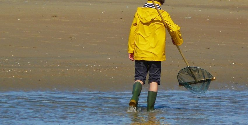 Les grandes marées et la pêche à pied en Ille et Vilaine