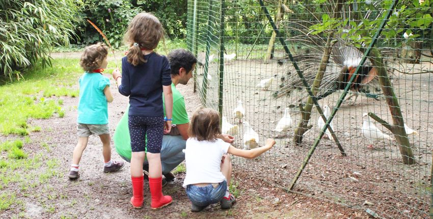 La Halte du Volcan, le Parc animalier de Pléchâtel