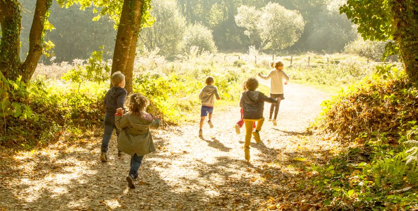 Les activités d’automne avec les enfants en Ille et Vilaine et Côtes d'Armor