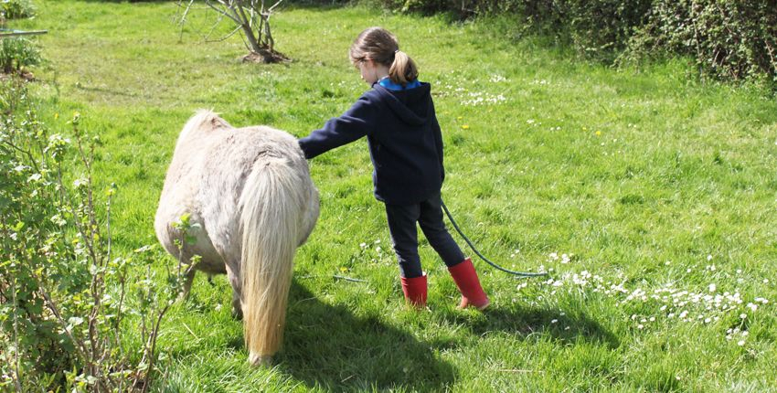 Balade à poneys à la Ferme du Moulin du Bois au sud de Rennes