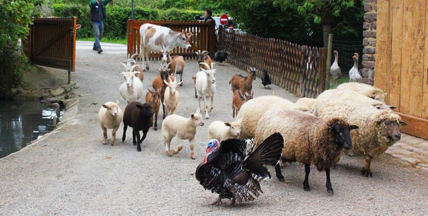 La ferme des Gayeulles à Rennes