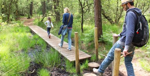 Balades en forêt, nos coups de cœur à Rennes et en Ille et Vilaine