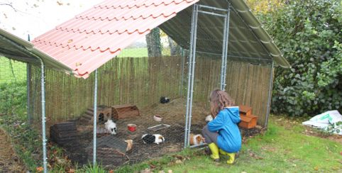 Ateliers et stages, M.A.É Médiation animale, Mézière sur Couesnon