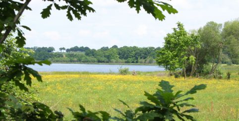 Les espaces naturels départementaux d'Ille et Vilaine