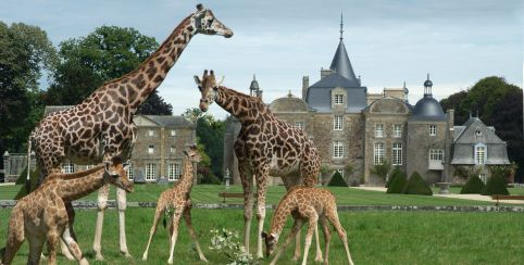 Parc zoologique de la Bourbansais entre Rennes et Saint-Malo