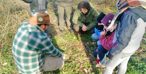 Skol Louarn : Stages de bushcraft et de survie en famille en Ille et Vilaine