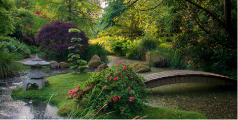 Parc Botanique de Haute Bretagne