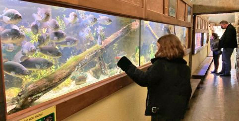 Allons voir les animaux en famille au Micro Zoo de Saint-Malo !