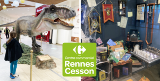 Centre commercial Rennes-Cesson
